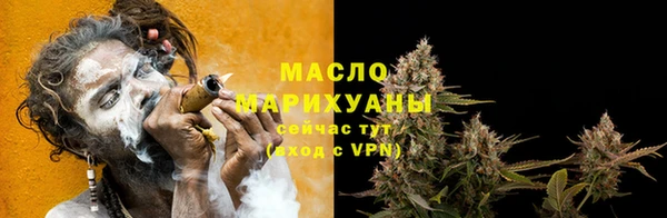 индика Белокуриха