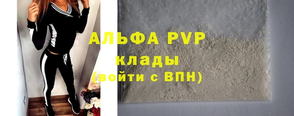 индика Белокуриха