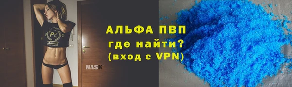 индика Белокуриха