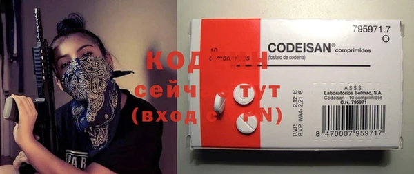 индика Белокуриха