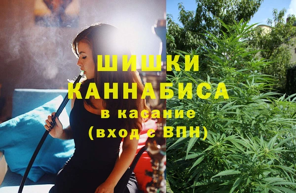 индика Белокуриха