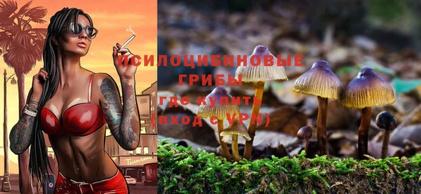 первитин Беломорск