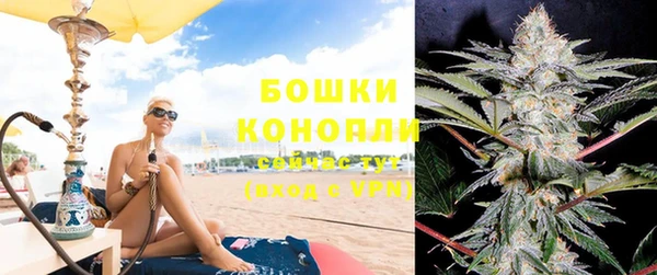 индика Белокуриха
