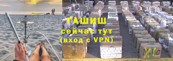 индика Белокуриха