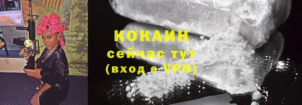 индика Белокуриха