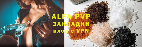 индика Белокуриха