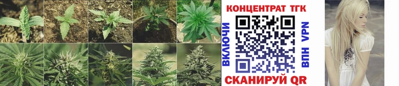 OMG как зайти Хабаровск ТГК гашишное масло